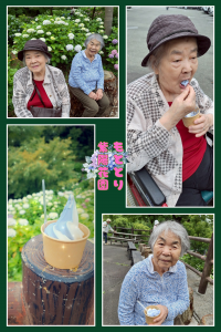 あじさい見学①