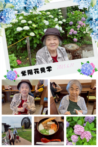 あじさい見学②