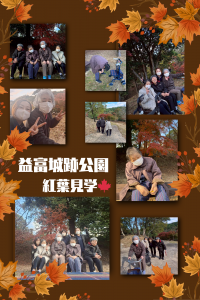 11月20日紅葉見学久美