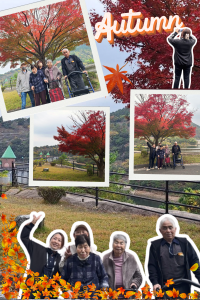 11月26日紅葉ホームページ用