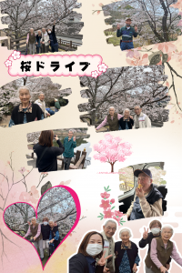 3月30.31日桜ドライブホームページ用